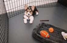 Load image into Gallery viewer, G-Floor® for Pets - Protective Floor Covering – Ceramic 5’x10’
