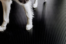Load image into Gallery viewer, G-Floor® for Pets - Protective Floor Covering – Ribbed 5’x10’
