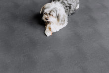 Load image into Gallery viewer, G-Floor® for Pets - Protective Floor Covering – Levant 5’x10’
